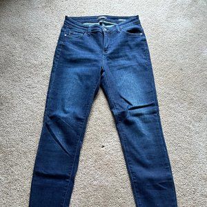 Dark wash Judy Blue skinny jeans, size 9/29